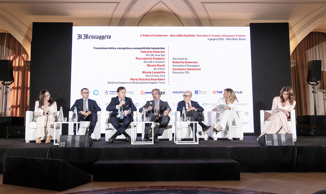 Fabrizio Palermo Acea Group CEO