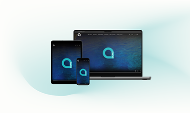 Device con il sito Acea