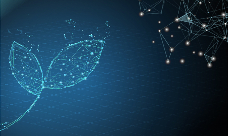 Illustrazione digitale stilizzata di foglie composte da connessioni e nodi luminosi