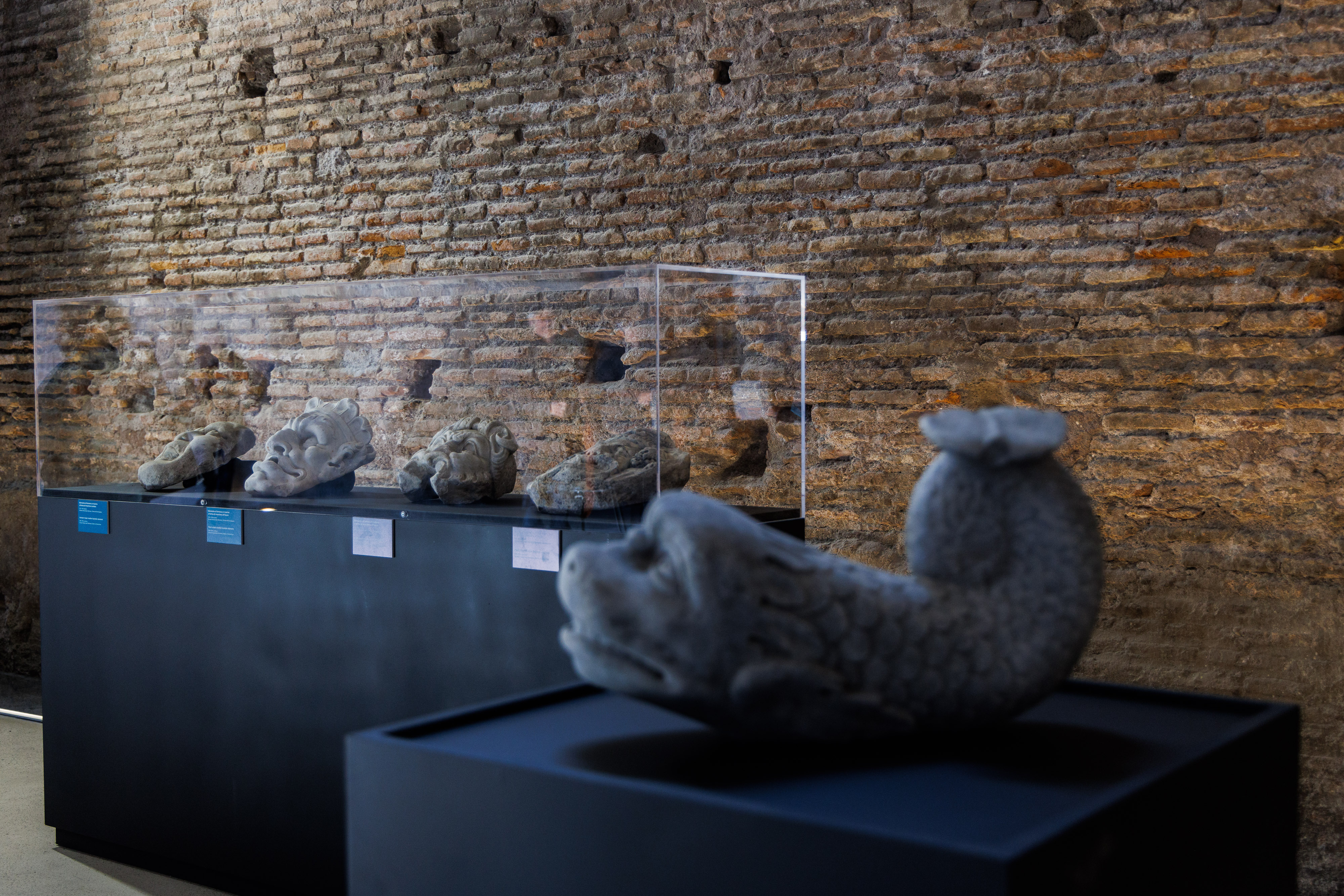 an archaeological find in the shape of a fish