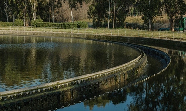 Agenda 2030 obiettivo 6: acqua pulita