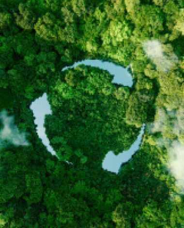 Foresta